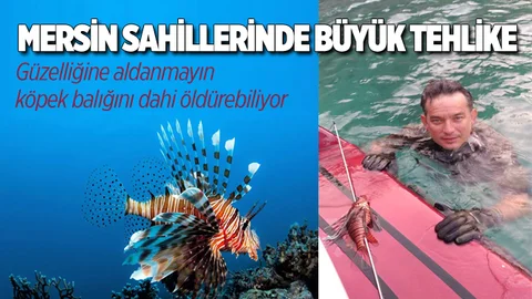 Mersin Sahillerinde Büyük Tehlike