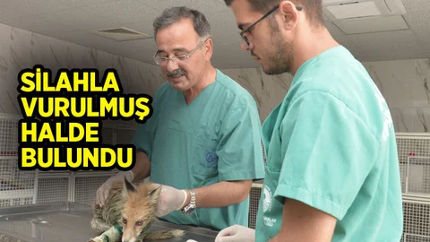 Silahla Vurulmuş Halde Bulundu