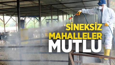 Sineksiz Mahalleler Mutlu