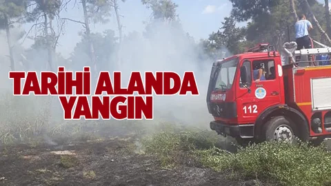 Mersin'de Tarihi Alanda Yangın