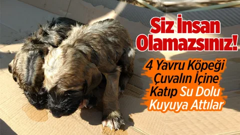 Siz İnsan Olamazsınız!