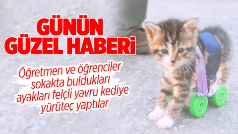 Mersin’de Öğretmen ve Öğrenciler Felçli Yavru Kediye Yürüteç Yaptılar