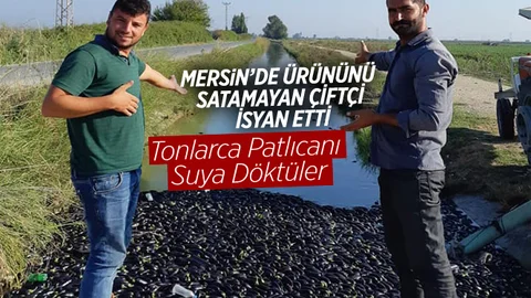 Mersin'de Çiftçiler İsyan Etti