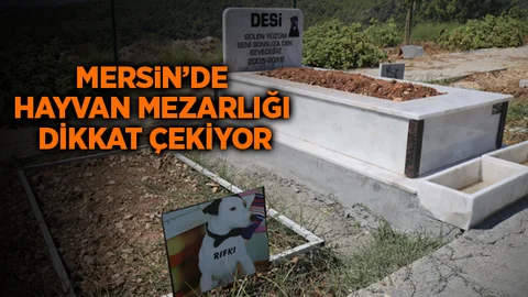 Mersin'de Hayvan Mezarlığı Olduğunu Biliyor muydunuz?