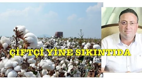 Pamuk ve Soya da Hasadın Başlamasına Rağmen Destek Primlerinin Açıklanmaması Çiftçileri Sıkıntıya Sürüklüyor