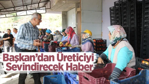 Başkan Tarhan’dan Domates Üreticisine Büyük Destek