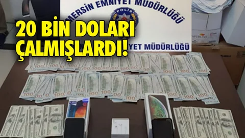 20 Bin Doları Çalmışlardı