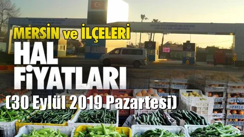 Mersin Hal Müdürlüğü Fiyat Listesi (30 Eylül 2019 Pazartesi)