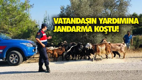 Vatandaşın, Yardımına Jandarma Koştu