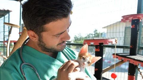 Mersin Büyükşehir Veterinerleri Hayvanseverleri Uyardı