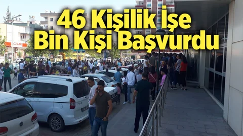 Mersin'de 46 Kişilik İşe Rekor Başvuru