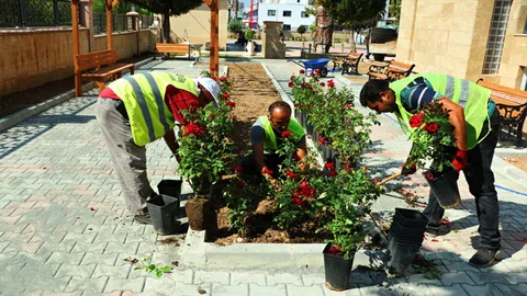 Büyükşehir Belediyesi’nden Cem Evi'ne Peyzaj Çalışması