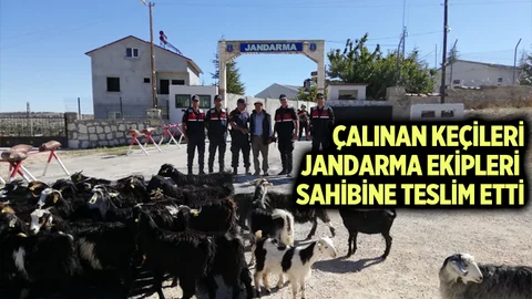 Mersin'de Küçükbaş Hayvan Hırsızlığı