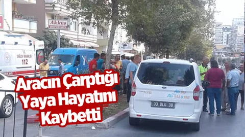 Aracın Çarptığı Şahıs Hayatını Kaybetti