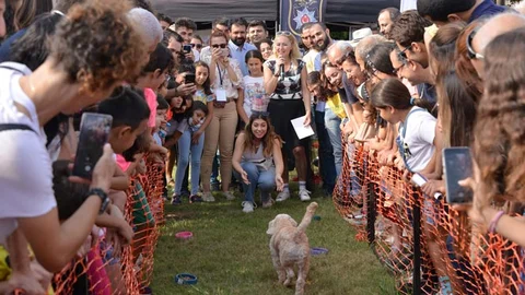 Mersin’in İlk Hayvan Festivali Patifest Başladı