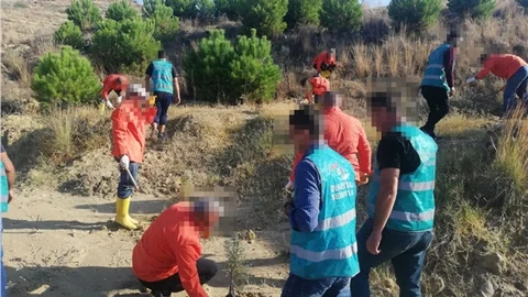 Hükümlülerden Adalet Ormanında Ağaç Bakım Çalışması