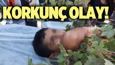 Mersin'de Korkunç Olay!