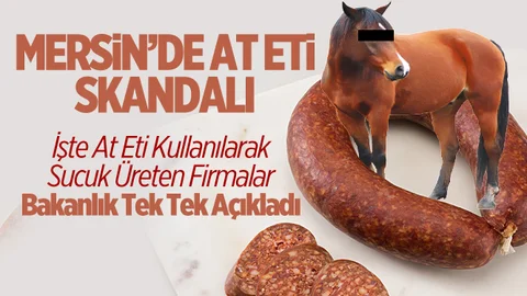 Mersin'de Vatandaşa At Eti Yedirdiler-İŞTE O FİRMALAR