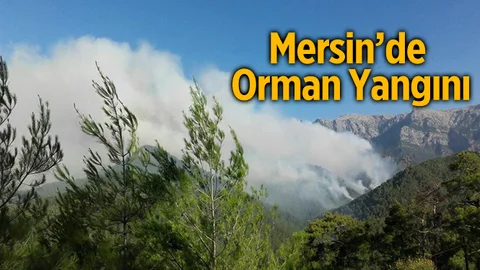Mersin'de Orman Yangını