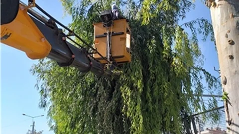 Tarsus’ta Kış Öncesi Bakım Çalışmaları Gerçekleştiriliyor