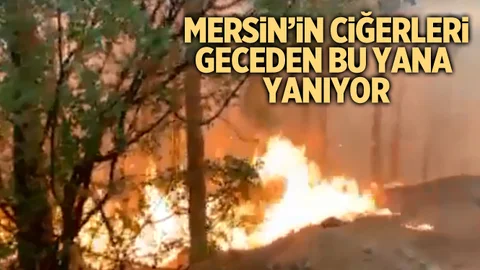 Mersin'de 13 Farklı Yerde Orman Yangını Çıktı
