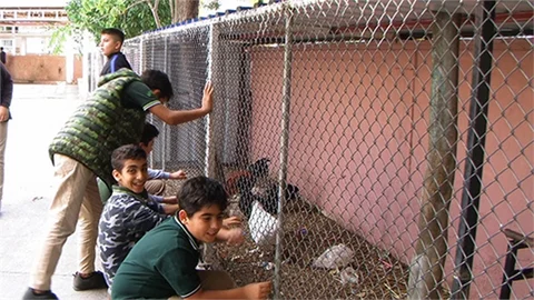 Öğrencilerin Evcil Hayvan Sevgisi Her Geçen Gün Büyüyor