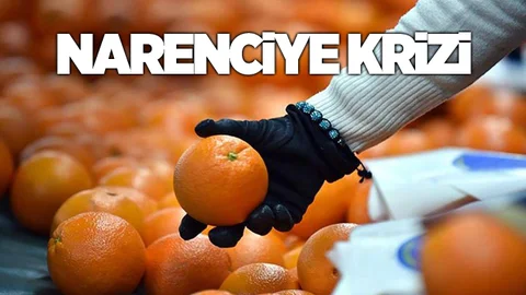 Narenciye Krizi!
