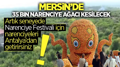 Mersin’de 35 Bin Narenciye Ağacı Kesilecek