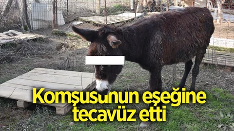 Günün İğrenç Haberi! Komşusunun Eşeğine Tecavüz Etti