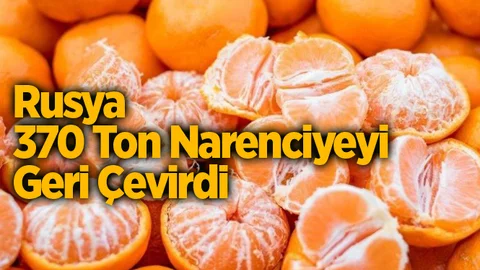Rusya, Türkiye’den Gönderilen 370 Ton Mandalinayı Geri Çevirdi