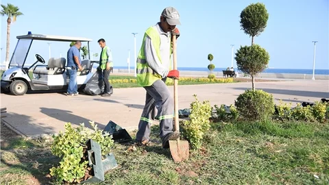 Mersin' Yeşilleniyor