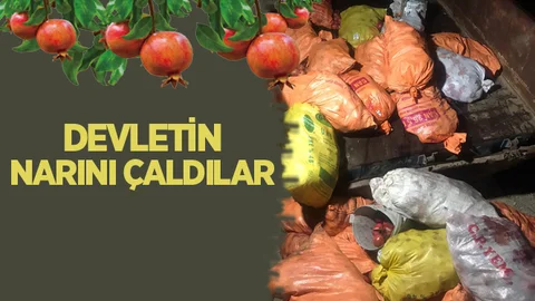 Devletin Narını Çaldılar
