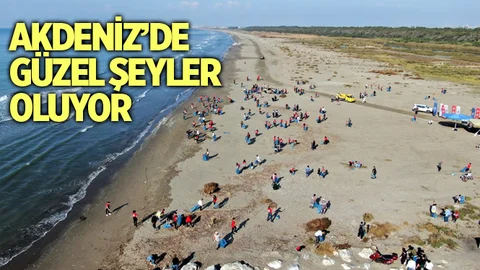 Akdeniz'de Güzel şeyler Oluyor