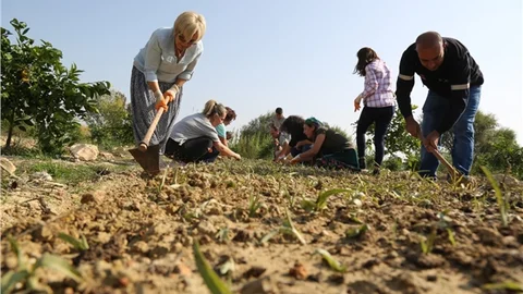 Mezitlili Kadınlar Salep Üretecek