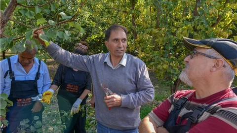 Büyükşehir, Mersin Tarımına Kalite Getiriyor