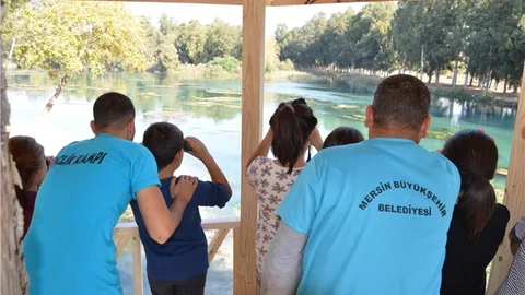 Hurda Paletler, Kuş Gözlemevine Dönüştü