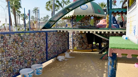 Miyavpark, Artık Daha Konforlu