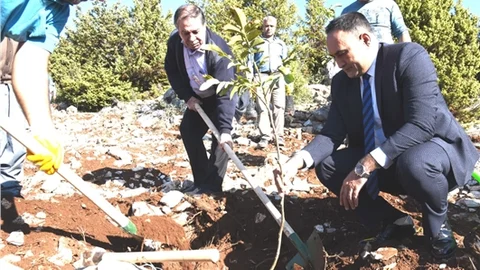 Toroslar’da 450 Adet Fidan Toprakla Buluştu