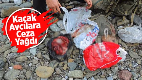 Yaban Keçisi Avcılarına Ceza Yağdı