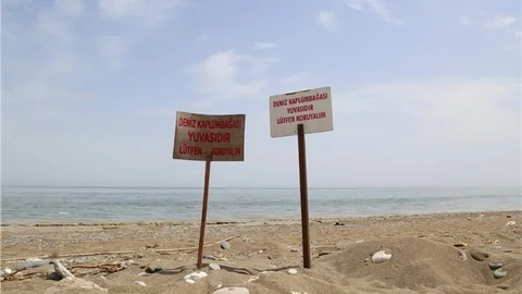 Kaplumbağalar İçin Hukuk Mücadelesi