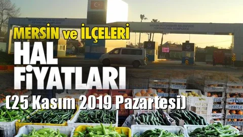 Mersin Hal Müdürlüğü Fiyat Listesi (25 Kasım 2019 Pazartesi)