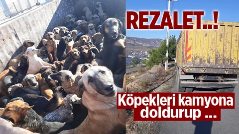 Bunun Adı Rezalet!