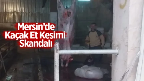 Mersin Kaçak Et Skandalı