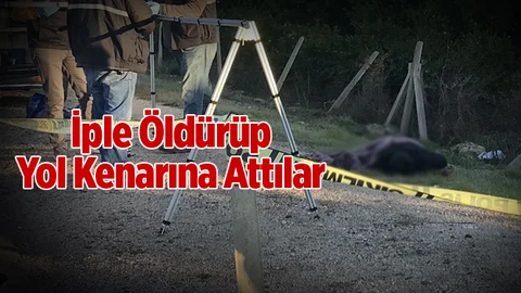 Yol Kenarında Ceset Bulundu