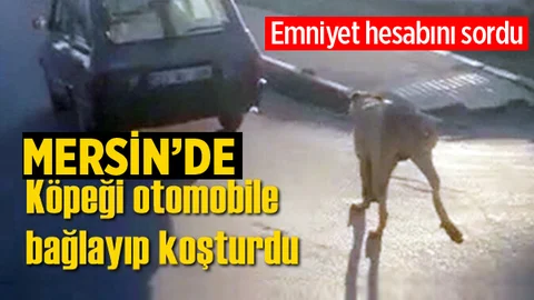 Mersin'de Bir Kişi Köpeği Otomobile Bağlayıp Koşturdu