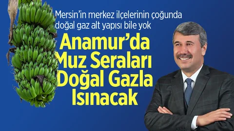 Anamur Muzu Doğal Gazla Isınacak