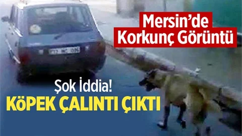 Mersin'de Aracın Arkasından Sürüklenen Köpek Çalıntı Çıktı İddiası
