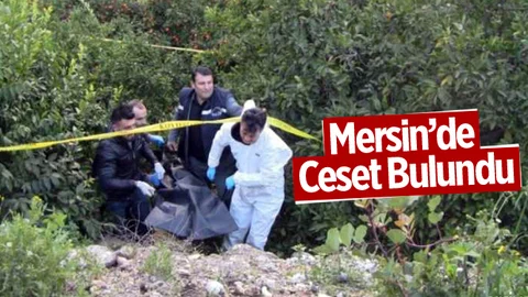 Mersin'de Bahçede Ceset Bulundu