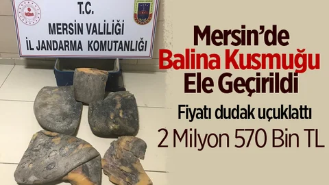 Mersin'de Balina Kusmuğu Ele Geçirildi
