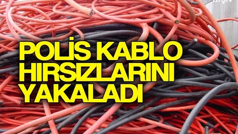 Devriye Gezen Polis Hırsızları Yakaladı